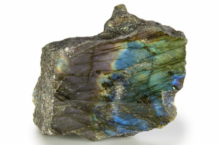 Single Side Polished Labradorite Section - Madagascar #324644